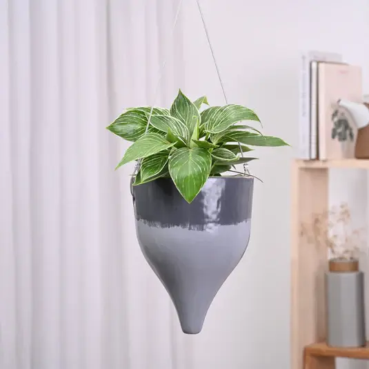 Ceramic Hanging Pot Cosmic Stone