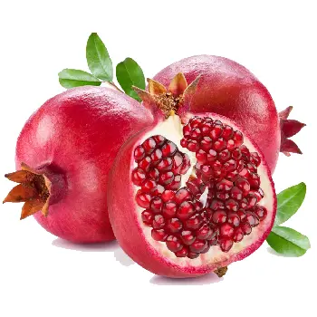 Pomegranate 