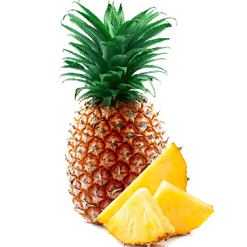 Pineapple 