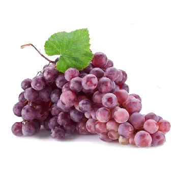 Grapes 