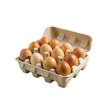 Farm Fresh Eggs