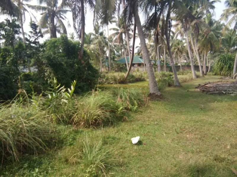 Commercial Plot for Sale in Aroor, Kochi