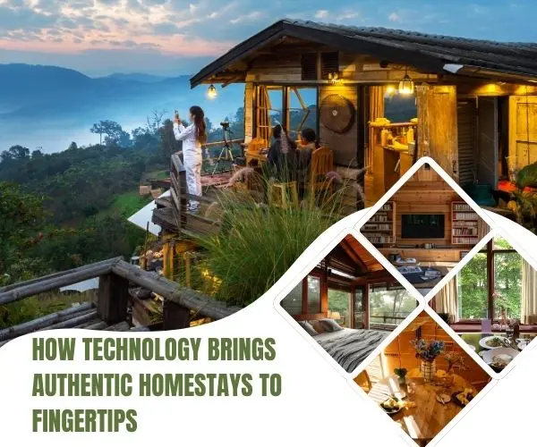 Why Every Homestay Owner Needs a website?