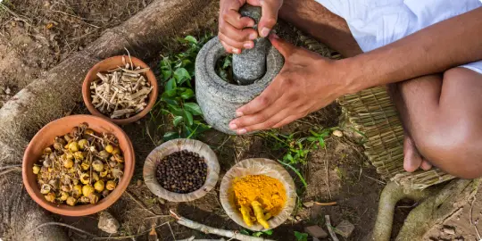  The Healing Power of Ayurveda