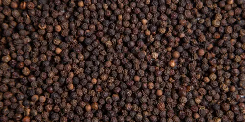 Black Pepper