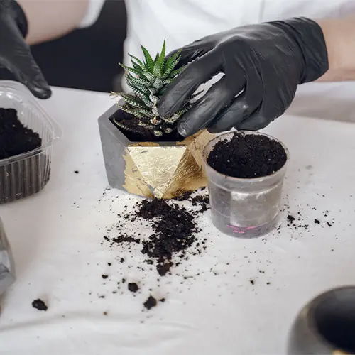 Potting Mix Supply