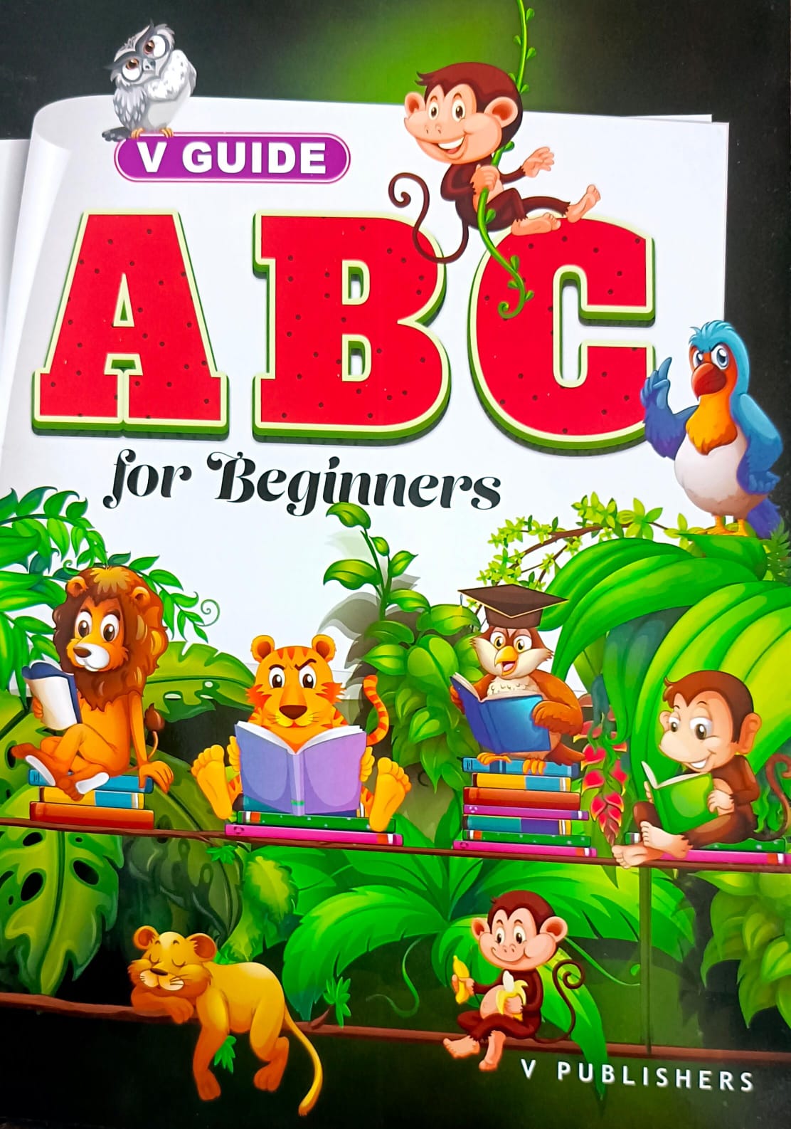 V Guid ABC Book For Beginners