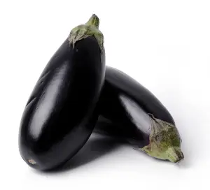 Egg Plant