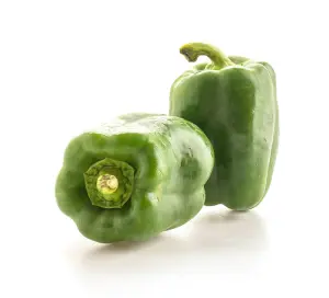 Capsicum