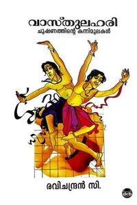Vasthulahari : Chooshanathinte Kannimoolakal : Ravichandran C | വാസ്തുലഹരി : ചൂഷണത്തിന്‍റെ കന്നിമൂലകള്‍ | Dc Books