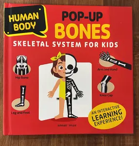 Human Body Po-Up Bones Skeletel System For Kids 