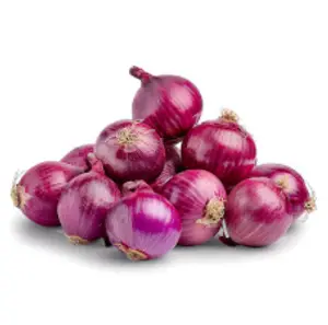 Big Onion