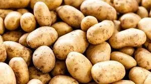 v-potato