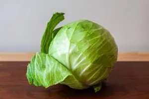 V-CABBAGE