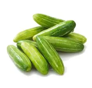 V-KOVAKKAI
