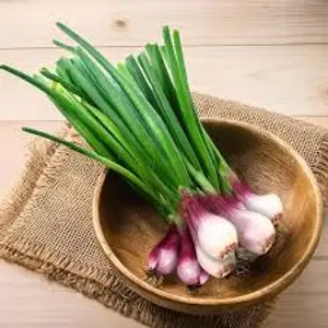 V-SPRING ONION