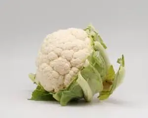 V-CAULI FLOWER