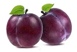 F-PLUM