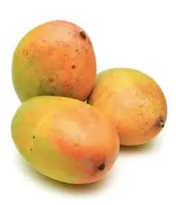 F-NEELAM MANGO