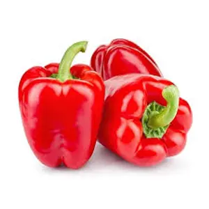 OV-CAPSICUM RED