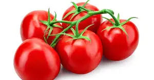 V-TOMATO