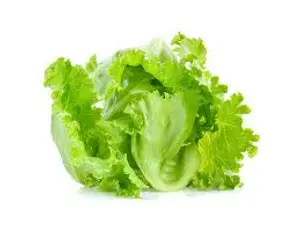 OV-LETTUCE ICEBERG